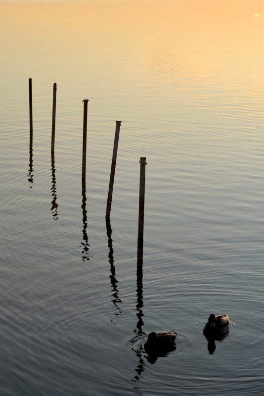 Bodo Richárd - Velencei tó októbreben